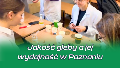 Jakość gleby a jej wydajność w Poznaniu (1) Jakość gleby a jej wydajność w Poznaniu (1)