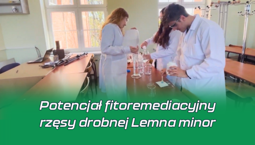 Potencjał fitoremediacyjny rzęsy drobnej Lemna minor Potencjał fitoremediacyjny rzęsy drobnej Lemna minor